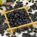 Black kidney bean/frijoles negros black bean